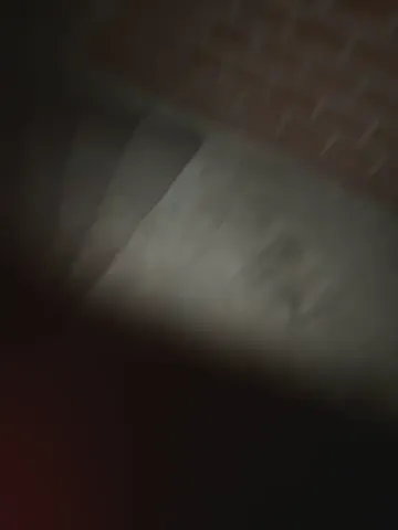alyssafoxx_