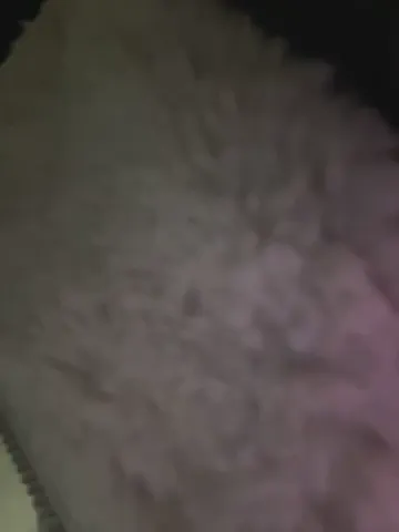 alyssafoxx_