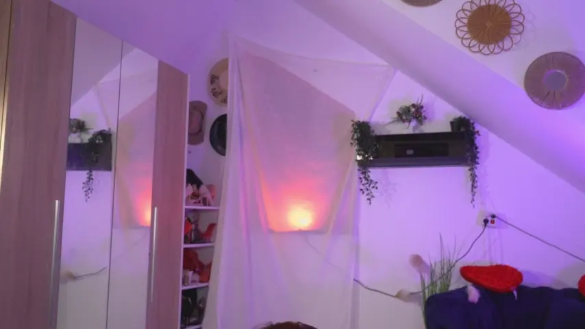 amaliamour