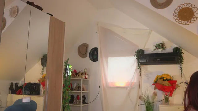 amaliamour