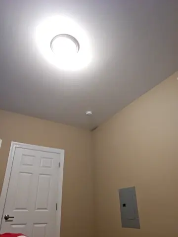 amethystfoxx