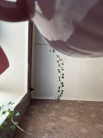 ammyhot
