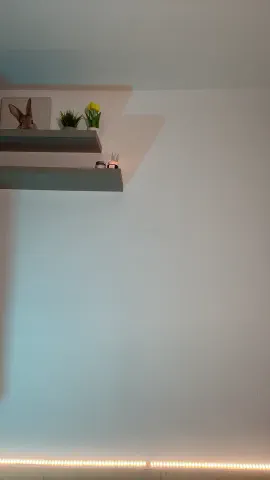 ana_u