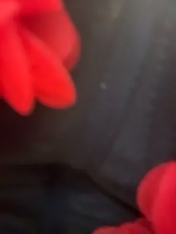 andreamood