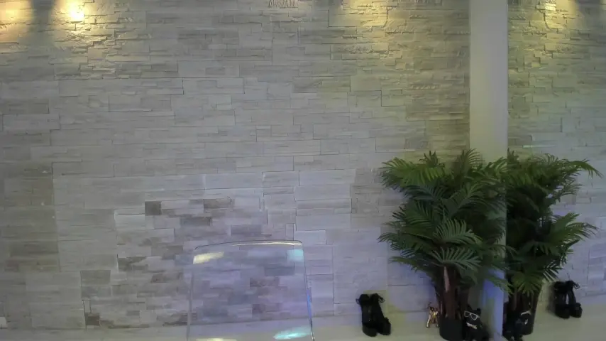angelinsinn