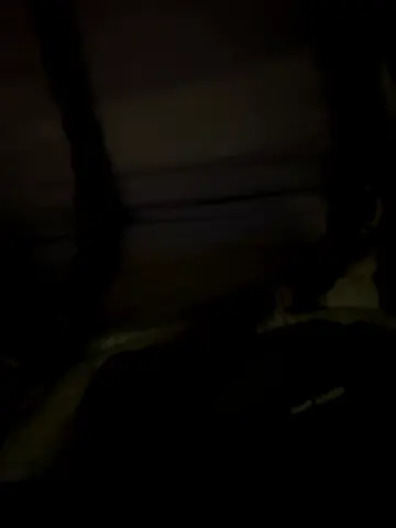 bambi_lu