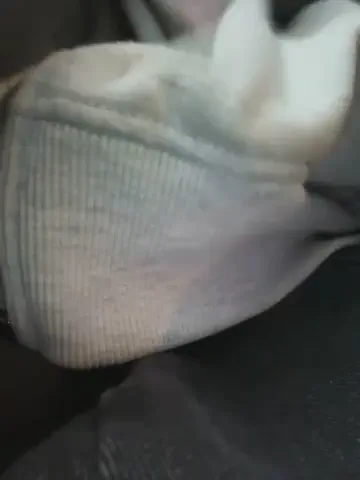 bambi_lu
