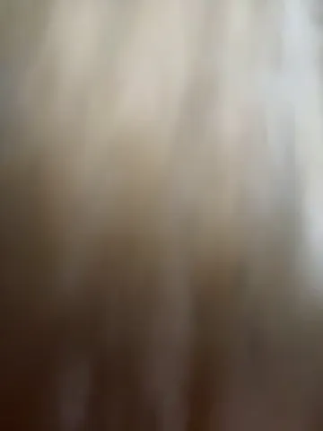 bambi_lu