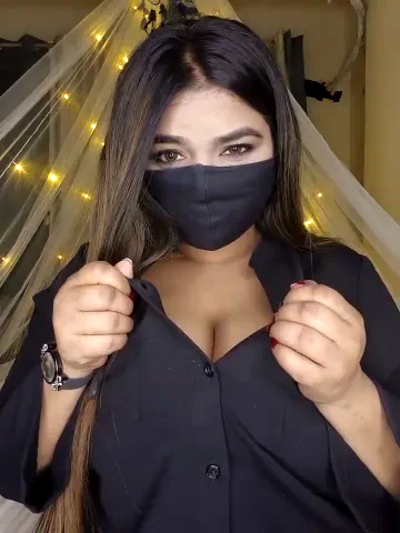bold-cat