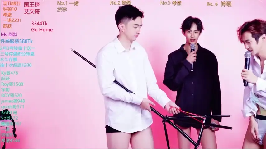boygayhouse
