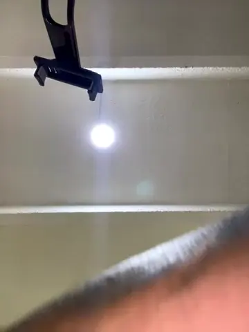 charlotte_stevenss_