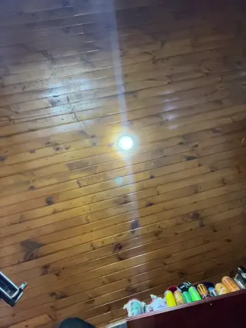 charlotte_stevenss_