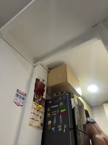 charlotte_stevenss_
