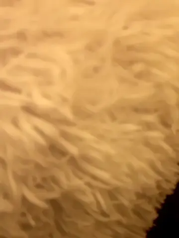 cuddlykitten_20