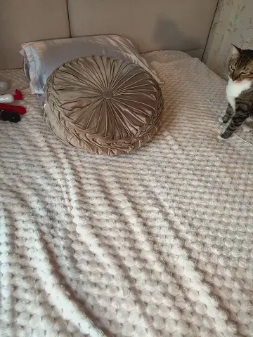 cutefatii
