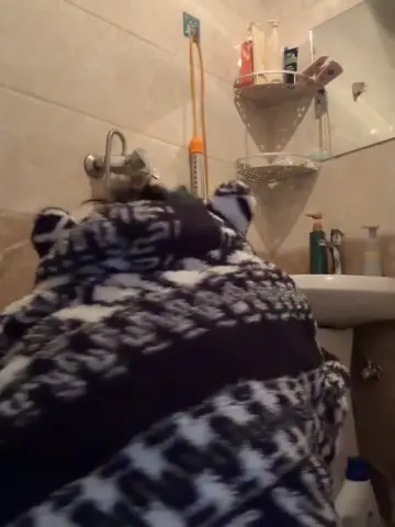 daaqnn