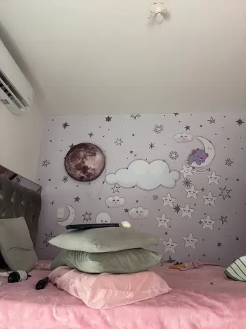 daliz_20_z
