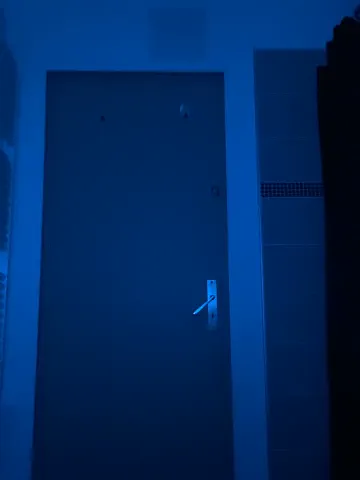 dasilva_elsa21