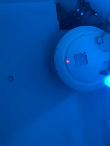 dasilva_elsa21
