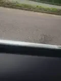 dianita_1988