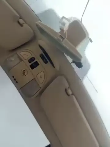 dollytall