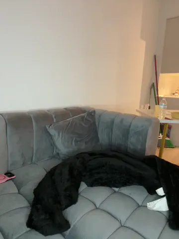 drekacakez