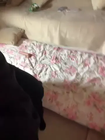 elkinga_nana