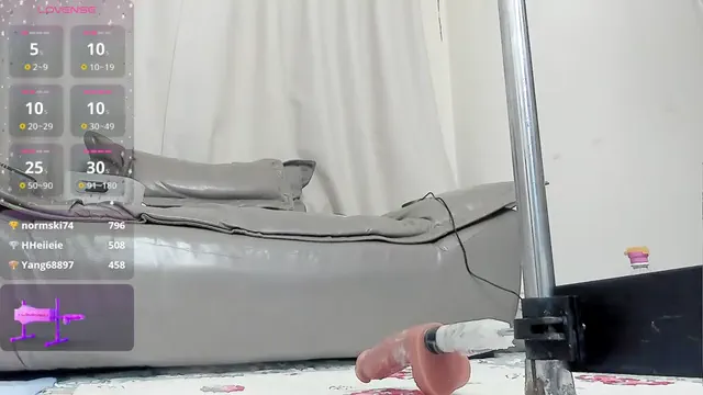fox-yiyi