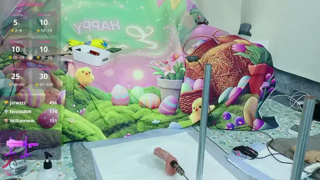 fox-yiyi