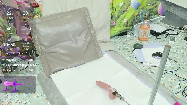 fox-yiyi