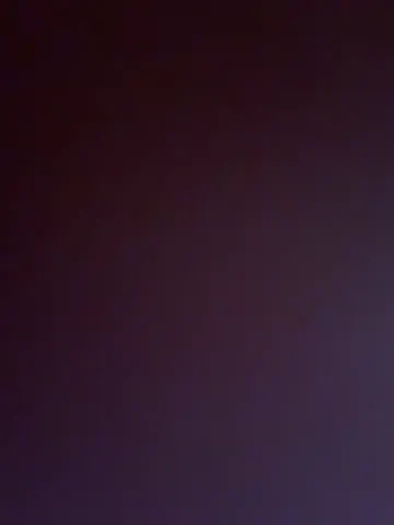 holly_play