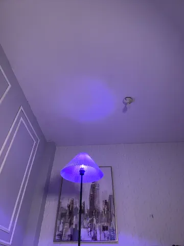 honeymollyx