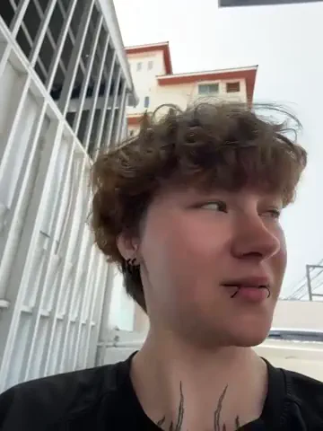 icemur