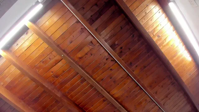 kaleb_violeta_1