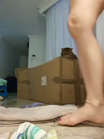karina_warthon