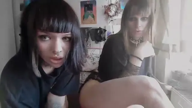 kiciasunia