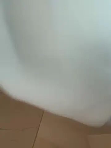 kirstievegas