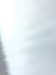 lami_mi