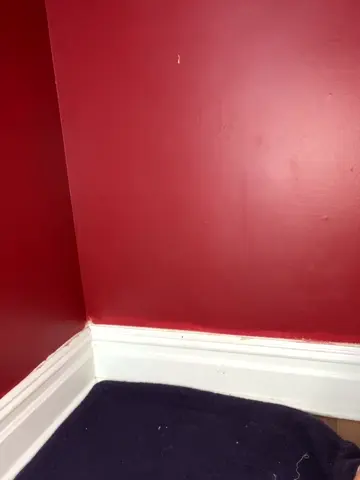 littlemisseeve