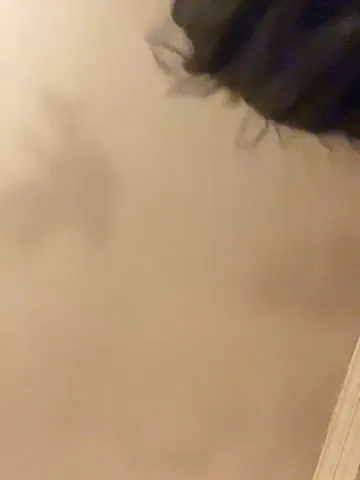 littlemisseeve
