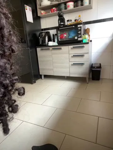 lorenasirena