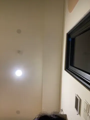 meow_meo
