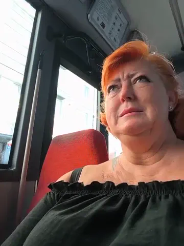 misssilken
