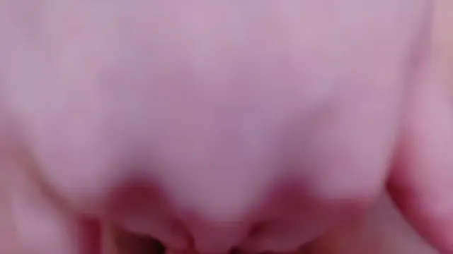 moemoe-q