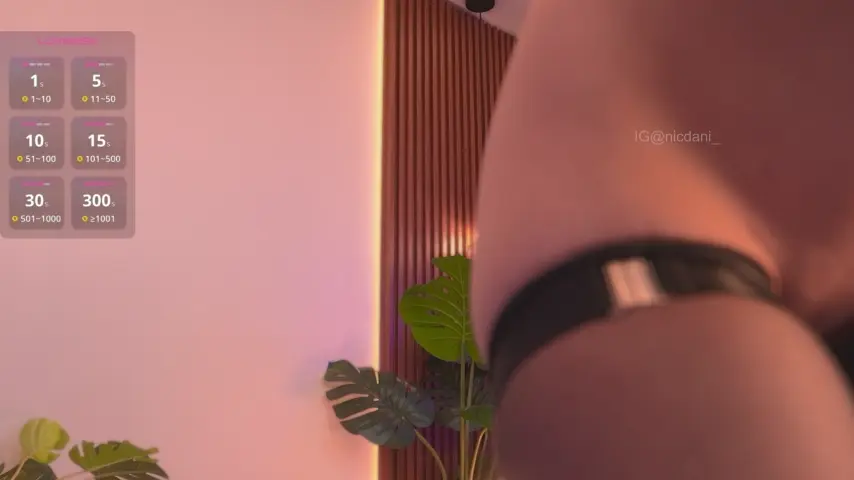 nicdani_1