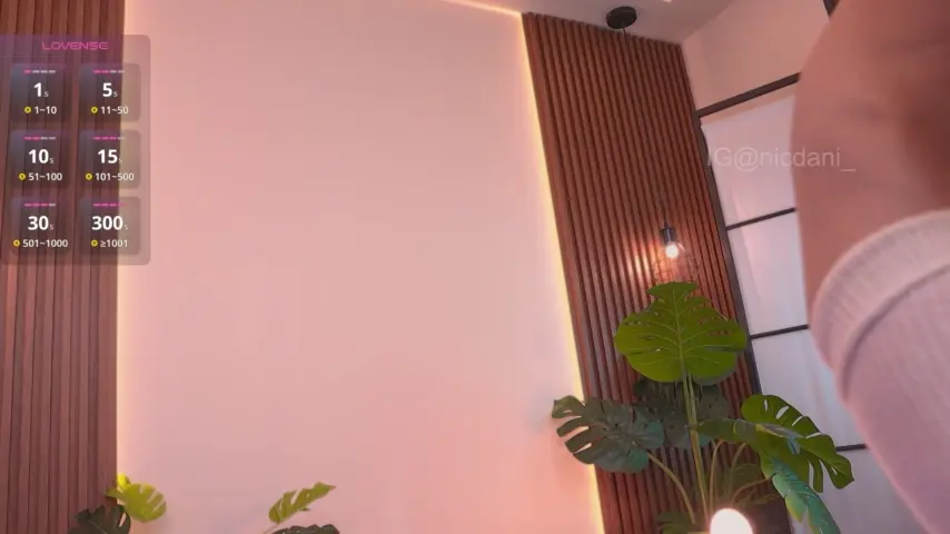 nicdani_1