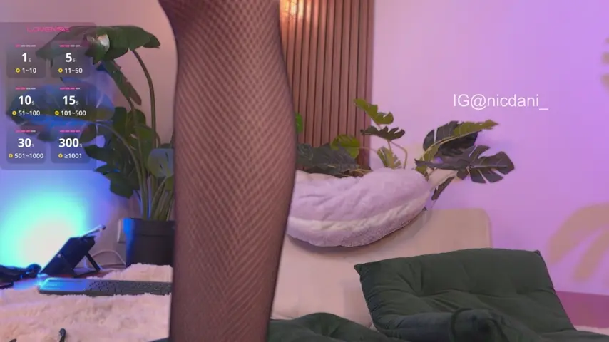 nicdani_1