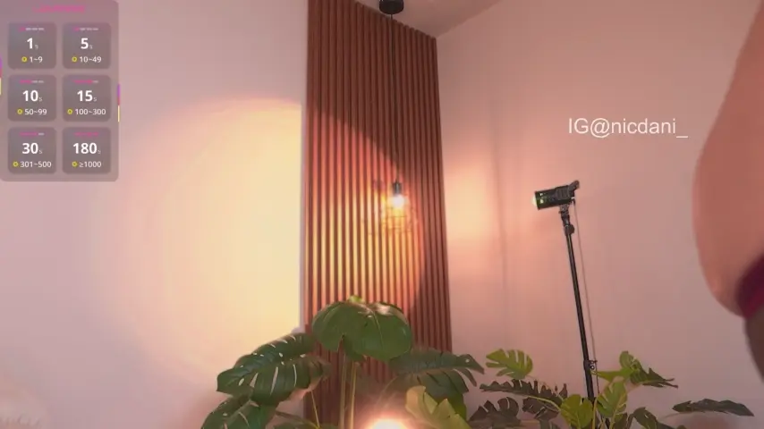 nicdani_1