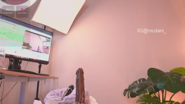 nicdani_1