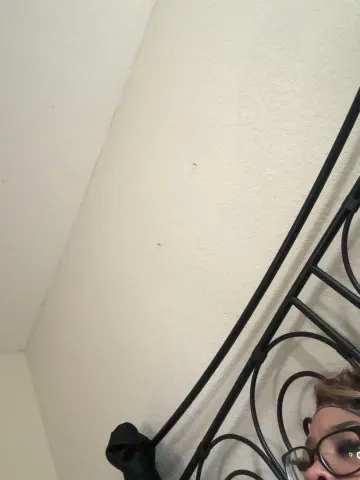 paybarbie